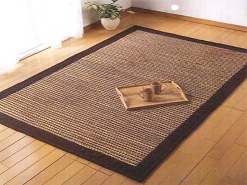 Carpet Water hyacinth